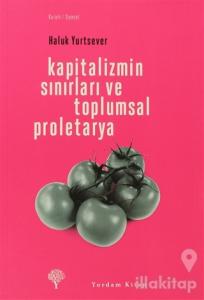Kapitalizmin Sınırları ve Toplumsal Proletarya