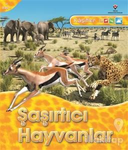 Kaşifler - Şaşırtıcı Hayvanlar