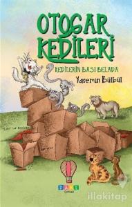 Kedilerin Başı Belada - Otogar Kedileri 2