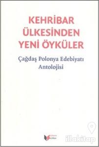 Kehribar Ülkesinden Yeni Öyküler (Ciltli)