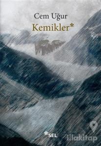 Kemikler