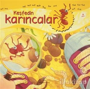 Keşfedin - Karıncalar
