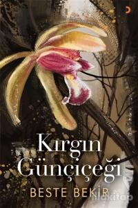 Kırgın Günçiçeği