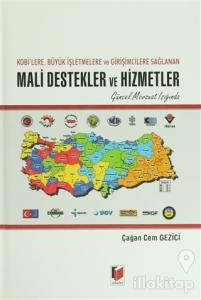 Kobi'lere, Büyük İşletmelere ve Girişimcilere Sağlanan Mali Destekler ve Hizmetler (Ciltli)