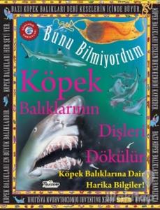 Köpek Balıklarının Dişleri Dökülür - Bunu Bilmiyordum