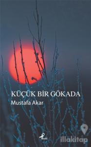 Küçük Bir Gökada