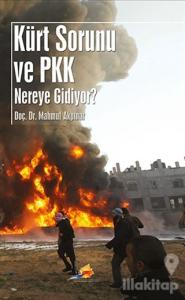 Kürt Sorunu ve PKK Nereye Gidiyor