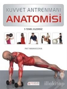 Kuvvet Antrenmanı Anatomisi