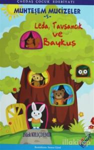 Leda, Tavşancık ve Baykuş