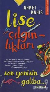 Lise Çılgınlıkları - Sen Yenisin Galiba