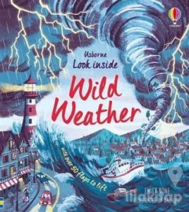 Look Inside Wild Weather