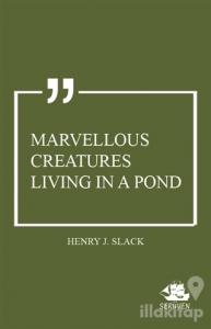 Marvellous Creatures Living in a Pond
