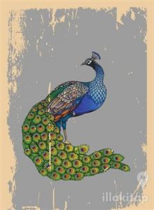 Meleke Tawis - Not Defteri