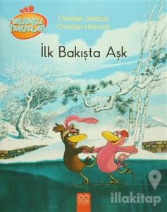 Meraklı Tavuklar - İlk Bakışta Aşk