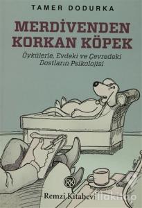 Merdivenden Korkan Köpek