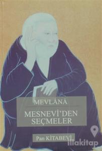 Mesnevi'den Seçmeler