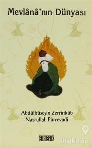 Mevlana'nın Dünyası