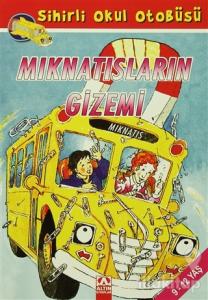 Mıknatısların Gizemi