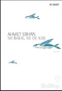 Ne Balık Ne De Kuş