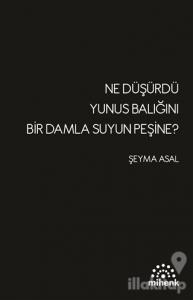 Ne Düşürdü Yunus Balığını Bir Damla Suyun Peşine?