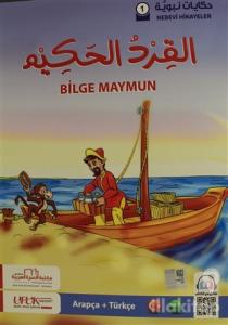 Nebevi Hikayeler Serisi (4 Kitap Takım)