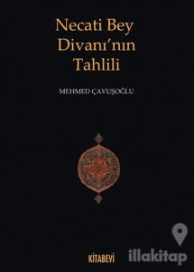 Necati Bey Divanı'nın Tahlili