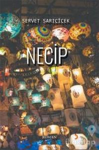 Necip