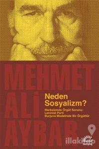 Neden Sosyalizm?
