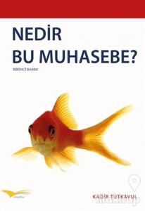 Nedir Bu Muhasebe?