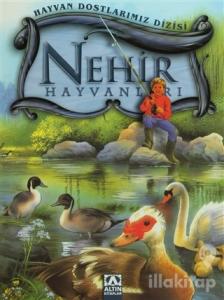 Nehir Hayvanları