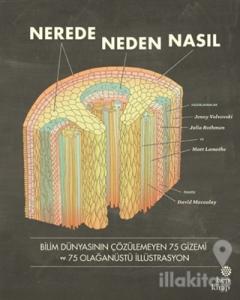 Nerede, Neden, Nasıl