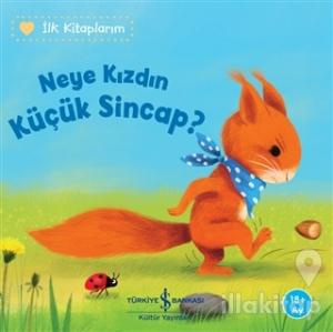 Neye Kızdın Küçük Sincap?