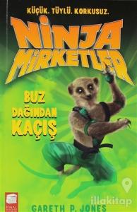 Ninja Mirketler - Buz Dağından Kaçış