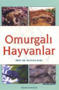 Omurgalı Hayvanlar