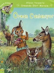 Orman Canlanıyor