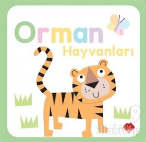 Orman Hayvanları
