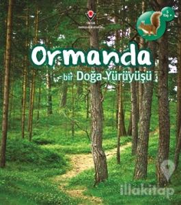 Ormanda Bir Doğa Yürüyüşü