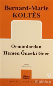 Ormanlardan Hemen Önceki Gece