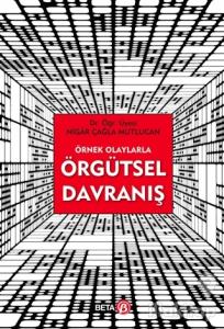 Örnek Olaylarla Örgütsel Davranış