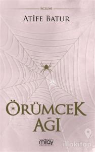 Örümcek Ağı