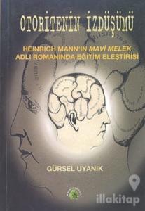 Otoritenin İzdüşümü