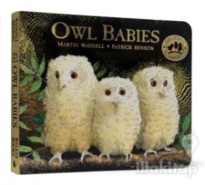 Owl Babies
