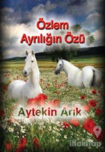 Özlem Ayrılığın Özü