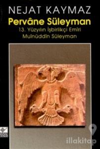 Pervane Süleyman 13. Yüzyılın İşbirlikçi Emiri Muinüddin Süleyman