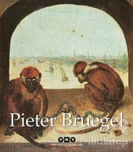 Pieter Bruegel (Ciltli)