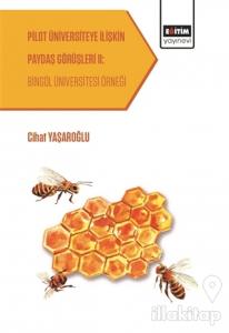 Pilot Üniversiteye İlişkin Paydaş Görüşleri 2: Bingöl Üniversitesi Örneği