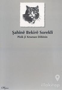 Pisik ji Xewnan Dibinin