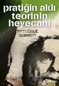 Pratiğin Aklı Teorinin Heyecanı