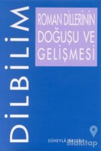 Roman Dillerinin Doğuşu ve Gelişmesi