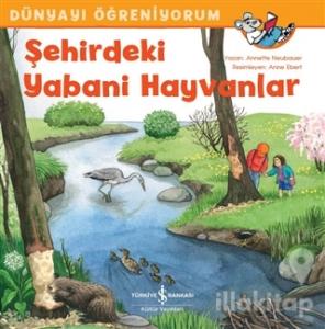 Şehirdeki Yabani Hayvanlar - Dünyayı Öğreniyorum